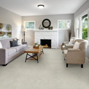Carpet flooring for living room | Direct Flooring Center