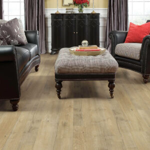 Laminate flooring for living room | Direct Flooring Center