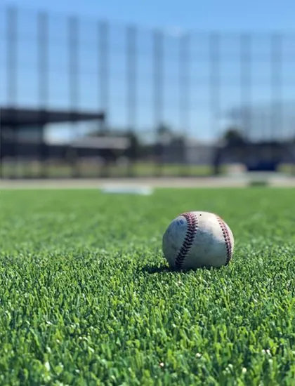 Sports-Field Sports Fields | Direct Flooring Center
