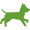 dog-running